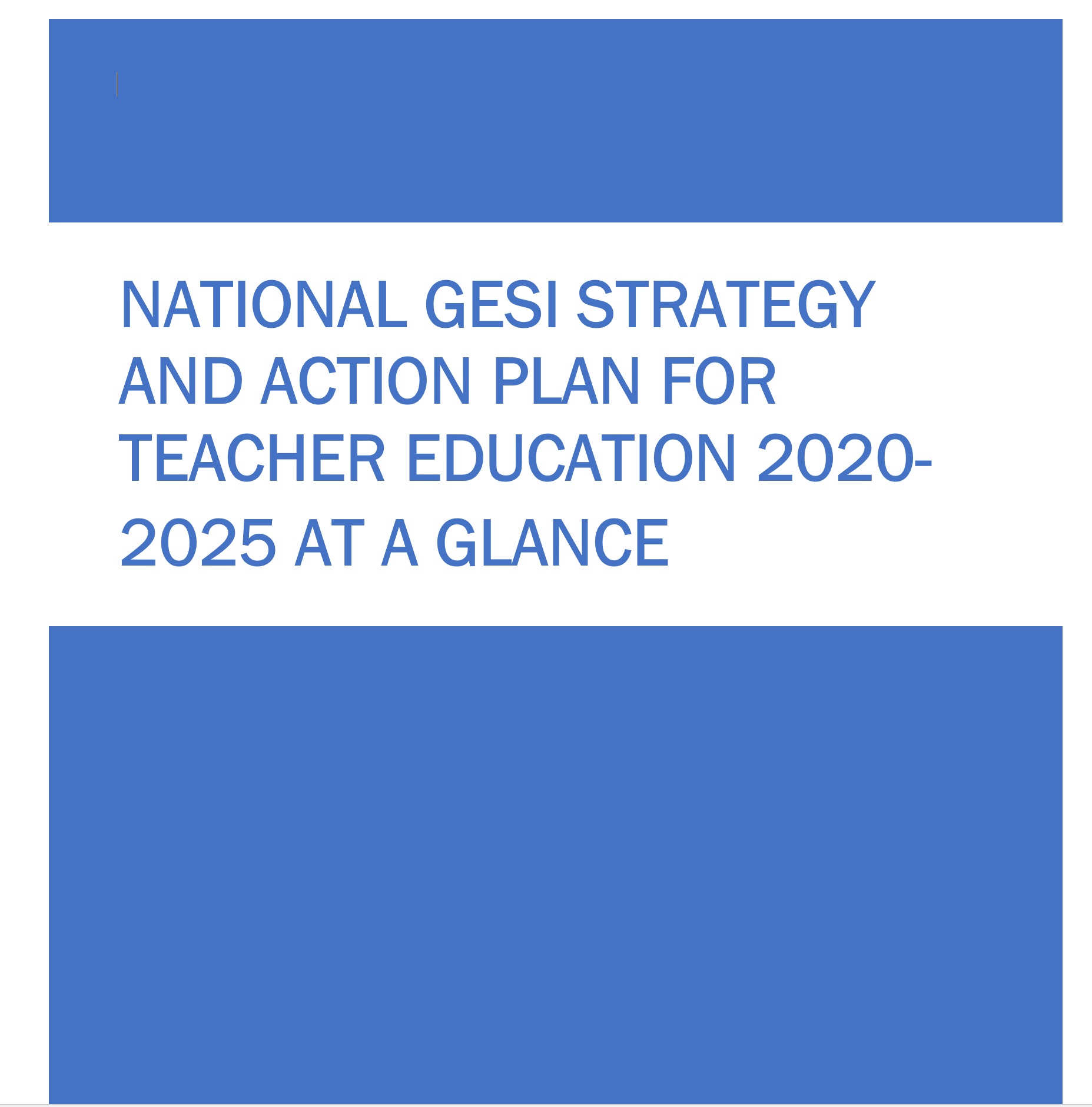 National GESI Strategy at a Glance