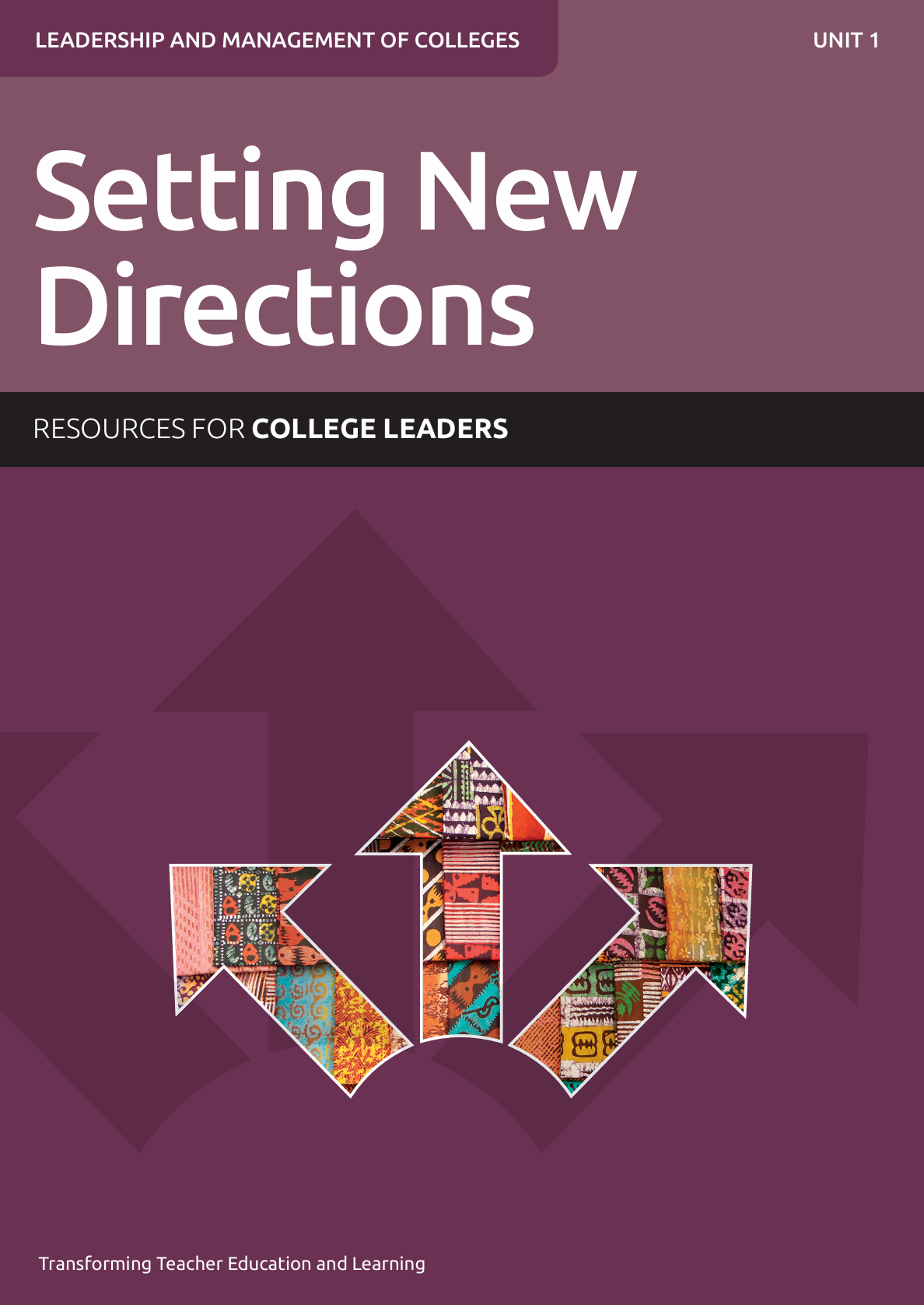 Setting new directions Unit 1 Resources for college leadership