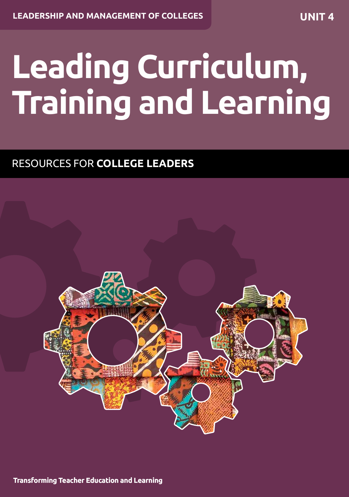 Leading Curriculum, Training and Learning Unit 4 Resources for College Leadership
